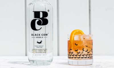 Free Black Cow Vodka Bottles & Glasses