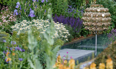 Win Chelsea Flower Show Tickets