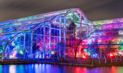 Win a family ticket to Glow 2020