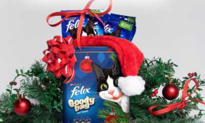 Free Felix Christmas Treats Tin