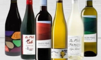 Win 6 Bottles of Organic Wine