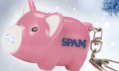Free Pink Piggy 'oink' Keychain