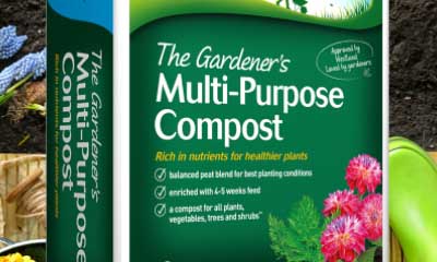 Free All Purpose Compost