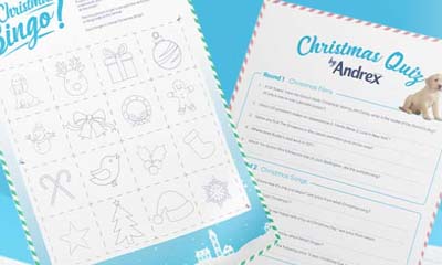 Free Andrex Christmas Activity Pack