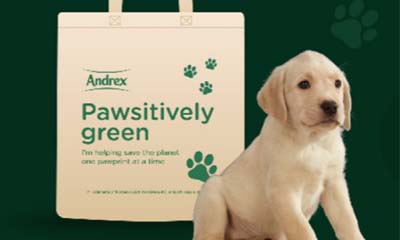 Free Andrex Eco-Friendly Canvas Bag