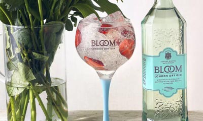 Win Bloom Gin and Glasses