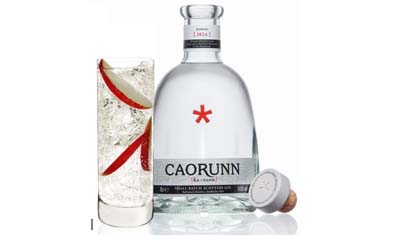 Free Caorunn Gin Bottle