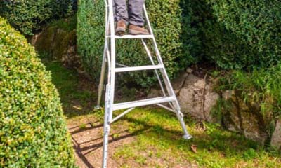 Win Henchman Ladders