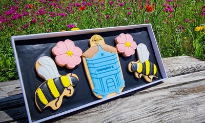 Win a Biscuiteers Box & Highgrove Champagne