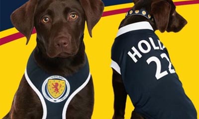 Free Scotland dog shirts