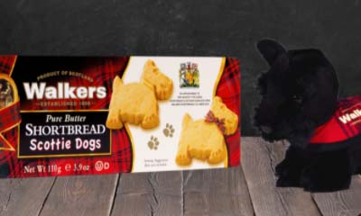 Win Scottie Dog Teddys & Shortbread Biscuits