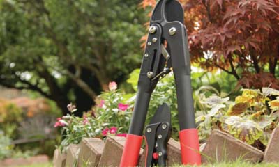 Free Spear & Jackson Anvil Secateurs