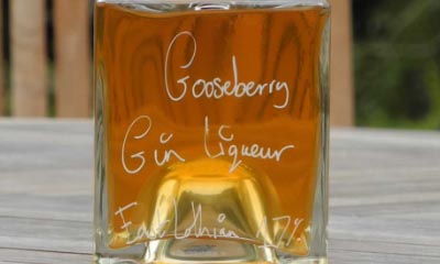 Win a bottle of Gooseberry Gin Liqueur