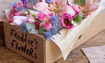 Free Box of Freddie's Flowers