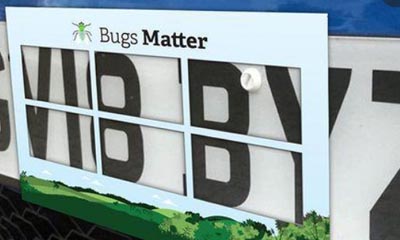 Free Bugs Matter Kit