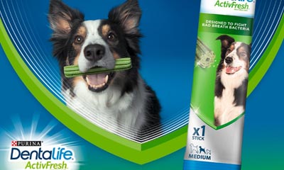 Free Dentalife ActivFresh Dog Chews
