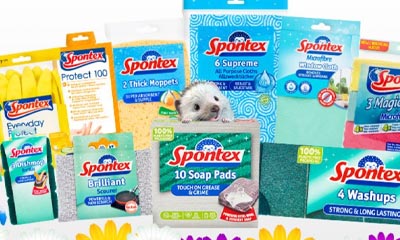 Free Spontext Mini Spring Clean Hampers