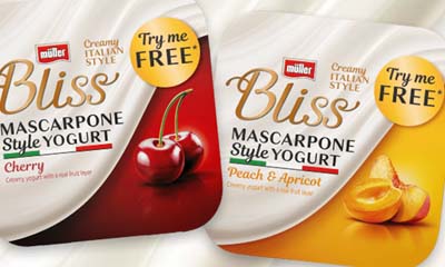 Free Muller Bliss Mascarpone Style Yogurt