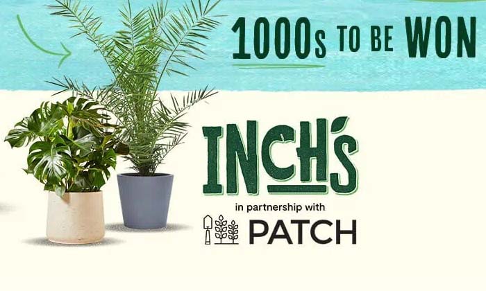 Free Patch Plants for your home
