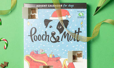 Free Pooch & Mutt Dog Advent Calendar