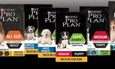 Free Purina Pro Plan Dog Food