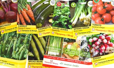 Free Vegetable Seeds from World Vision