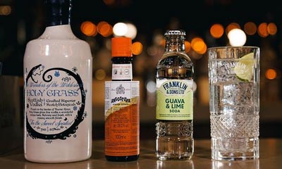 Free Vodka Cocktail Kits from Franklin & Sons