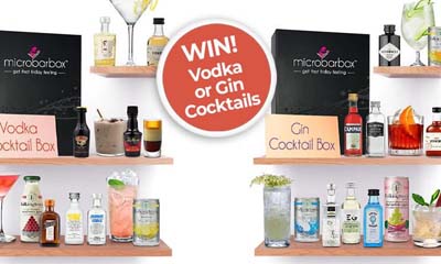 Win a Vodka or Gin Cocktail Box