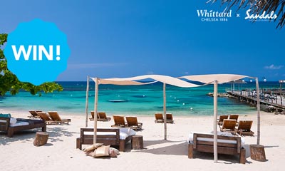 Whittard Chelsea Luxury Caribbean Holiday Competition