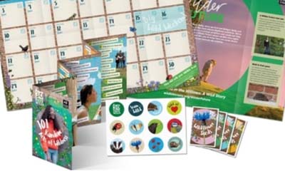 Free Wildflower Seeds & Wall Chart