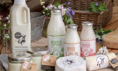 Win an Ethical Dairy Box by Hollis Mead