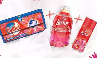 Free Bold & Lenor Desert Rose Dream Team Bundle