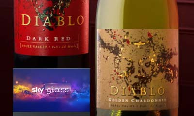 Free Case of Diablo Wine