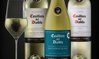 Free Casillero Wine Summer Party Pack