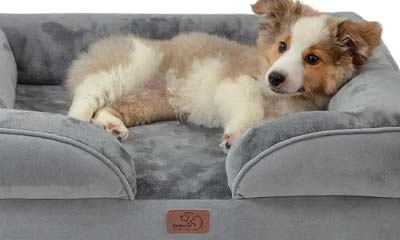 Free £50 Luxury Bedsures Dog Sofa