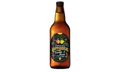 Free Kopparberg Summer punch 500ml bottle