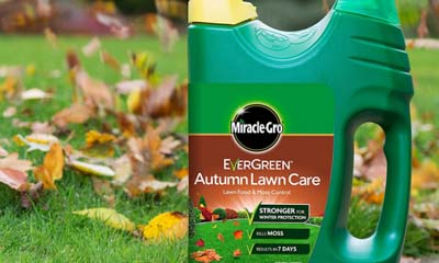 Free Miracle-Gro Autumn Lawn Care