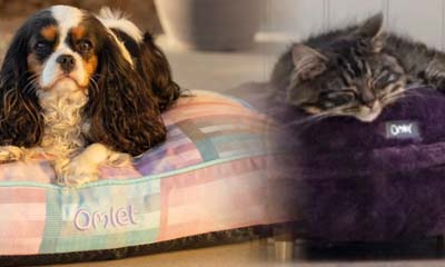Free Dog and Cat Beds from Omlet