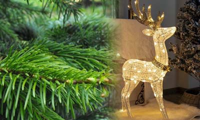 Win a Christmas Reindeer Decoration