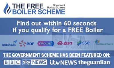 The Free Boiler Scheme