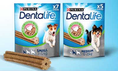 Free Dentalife Dog Dental Chews