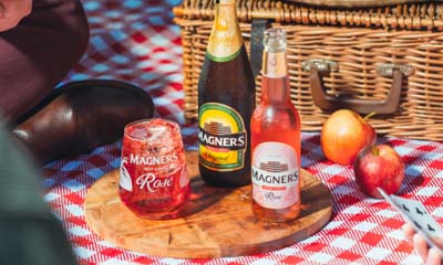 Free Magners Luxury Picnic Blankets