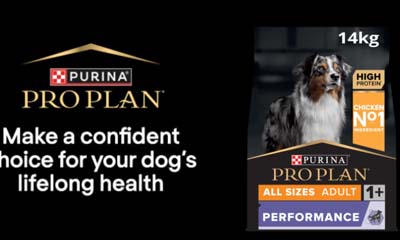 Free Purina Pro Plan Adult Dog Food