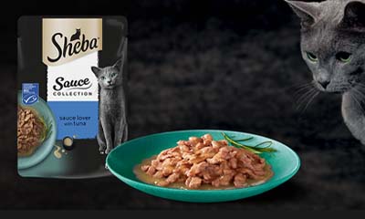 Free Sheba Sauce Collection Cat Food