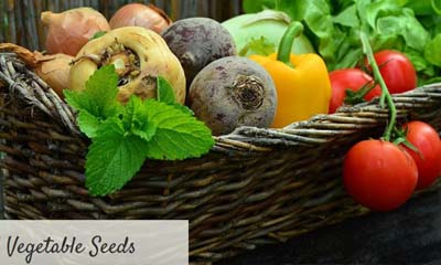 Free Vegetable Seeds from Suttons