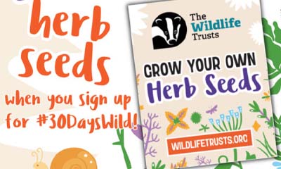 Free Wildlife Trusts Herb Seeds