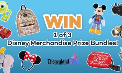 Free Disney Merchandise Bundle