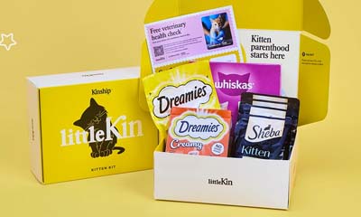Free littleKin Kitten Kit
