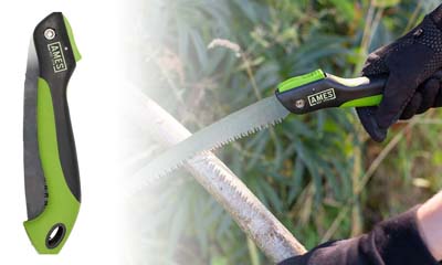 Free Ames Pruning Saw