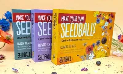 Free Wildflower Seed Ball Kit